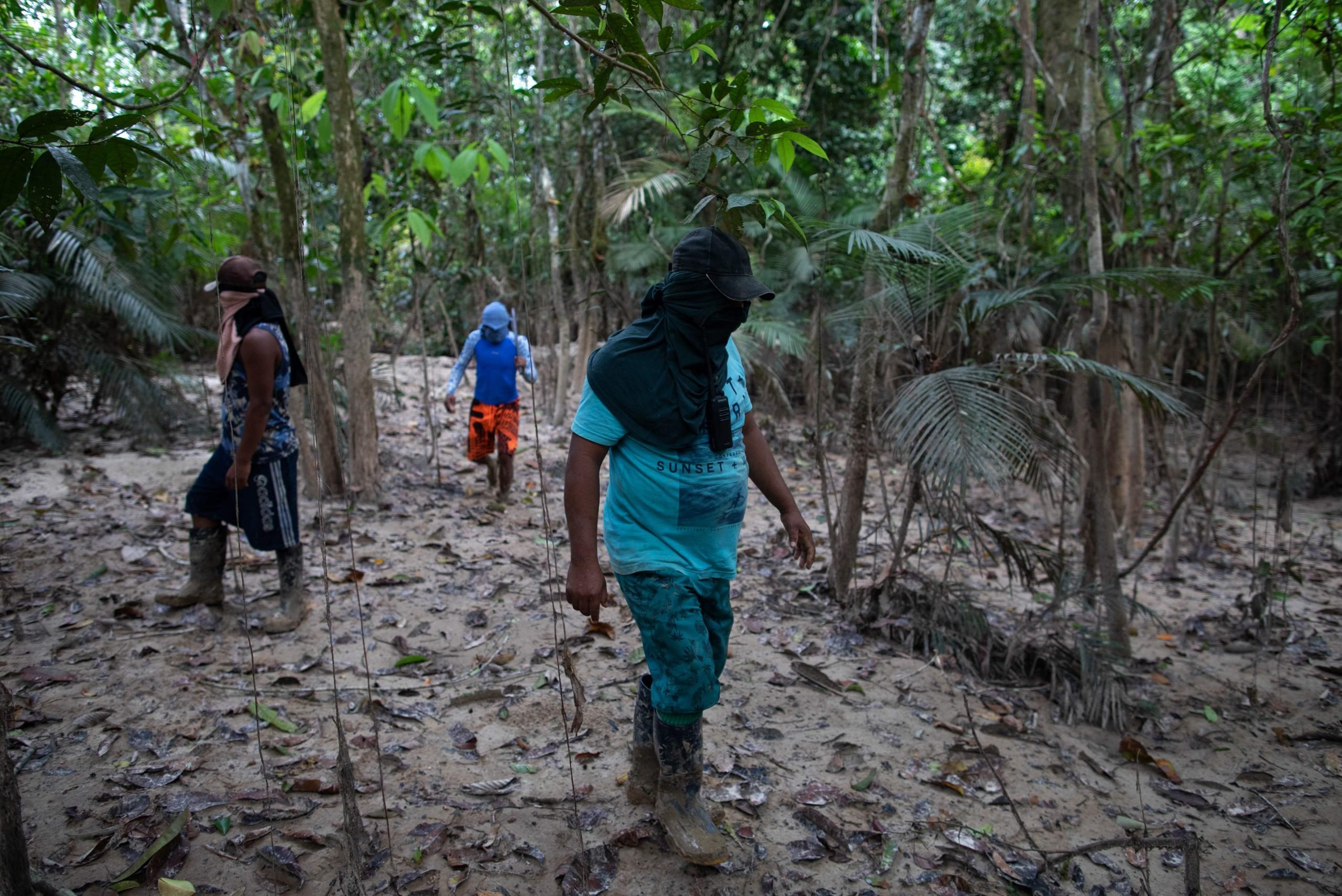 英国记者失踪于亚马逊 巴西总统称有内脏河上漂