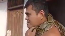 视频 | 抓蟒蛇绕脖子炫耀 男子疑被咬险丢命