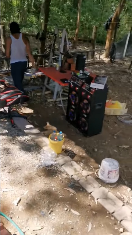 视频|男子住宅空地音乐轰炸养鸡鸭·邻居投诉后垃圾桶遭砍烂