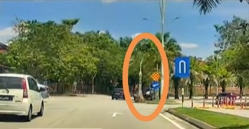 视频|Myvi撞倒路边大树 网民：不愧是战车！