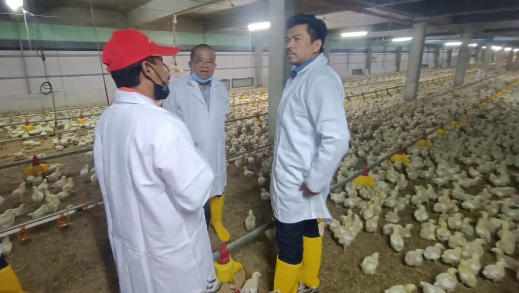 鸡肉供应料月杪复常 农部：出口禁令之后检讨