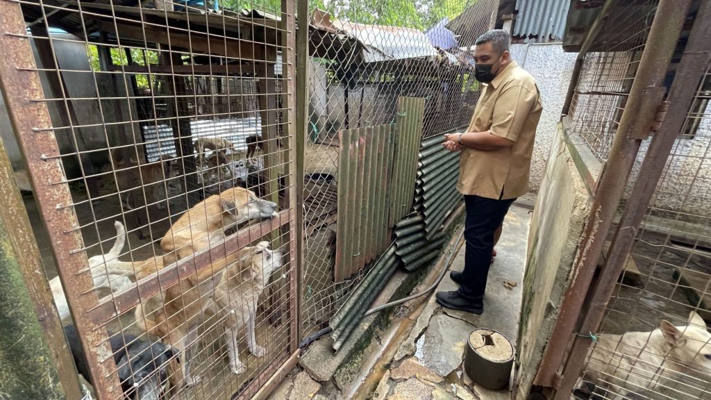 甲SPCA收容所设施残旧 巫统议员走入参观狗栏吁捐助