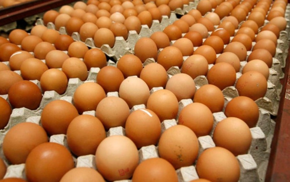 贸消局：学校假期需求偏高 槟鸡蛋供应仍充足