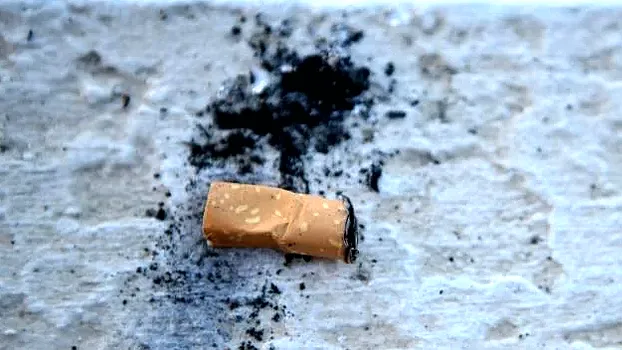 Big tobacco’s environmental impact is ‘devastating’: WHO