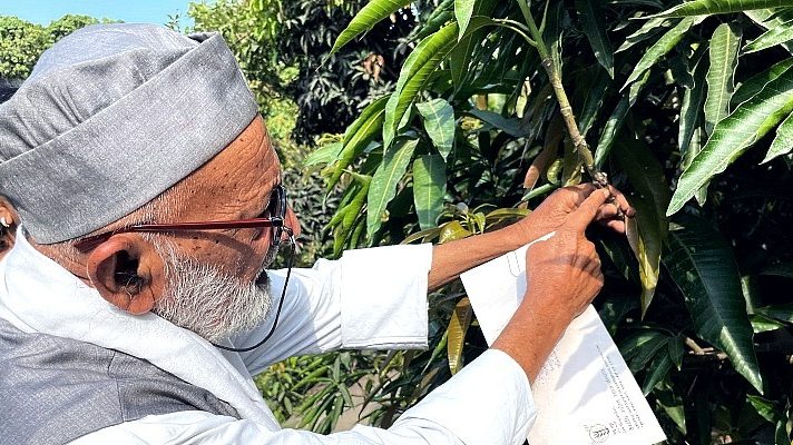 India’s mango man, father of 300 varieties