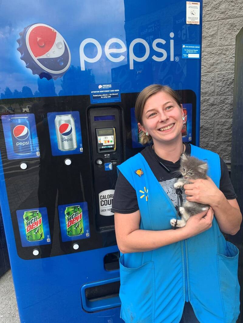 可乐自动贩卖机传来喵喵声 可爱小猫被救出