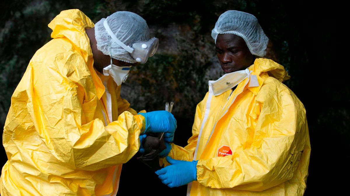 和伊波拉同样致命 加纳首度发现马尔堡病毒病例