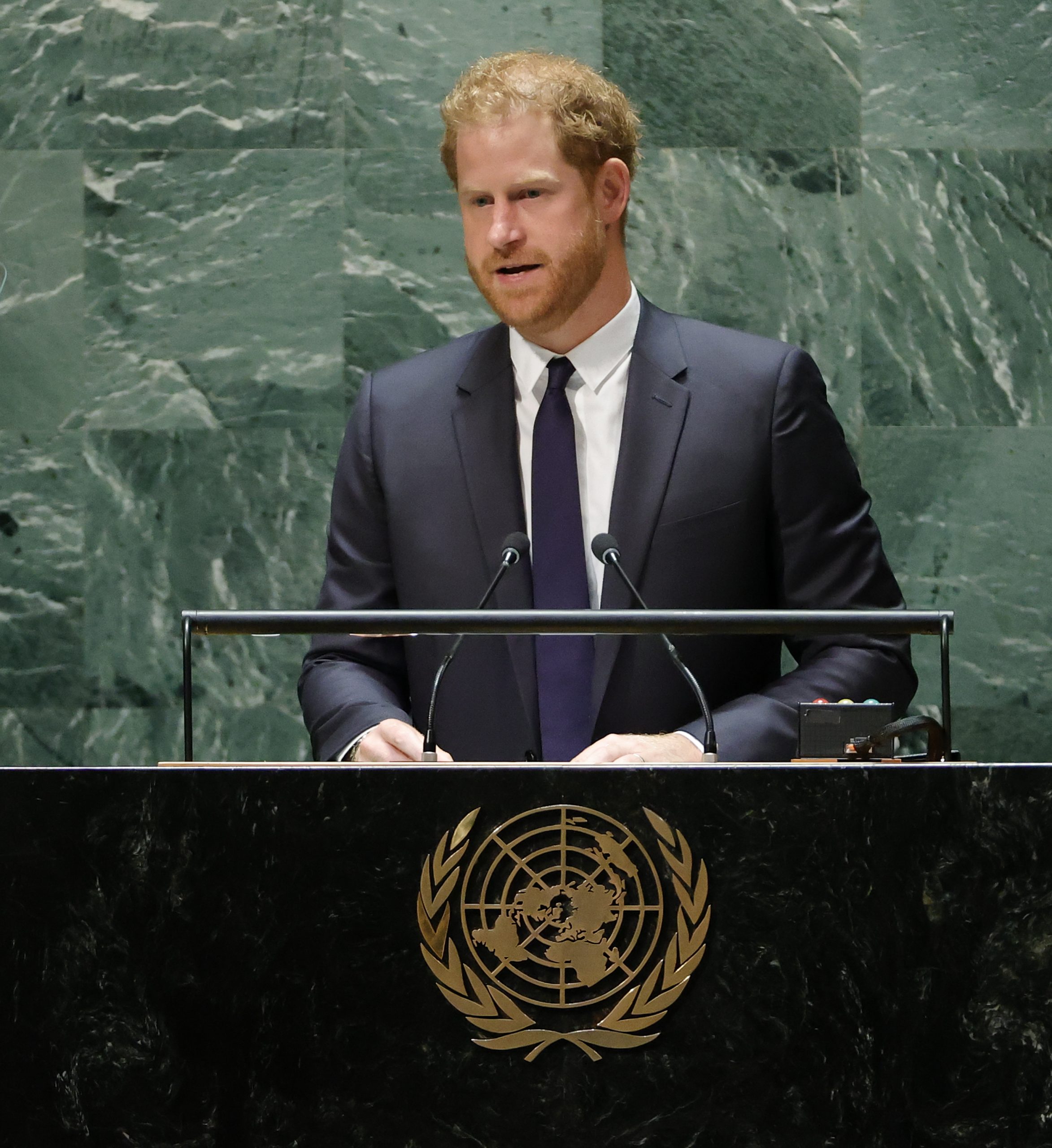 哈里王子联合国大会致词 称全球民主自由遭攻击