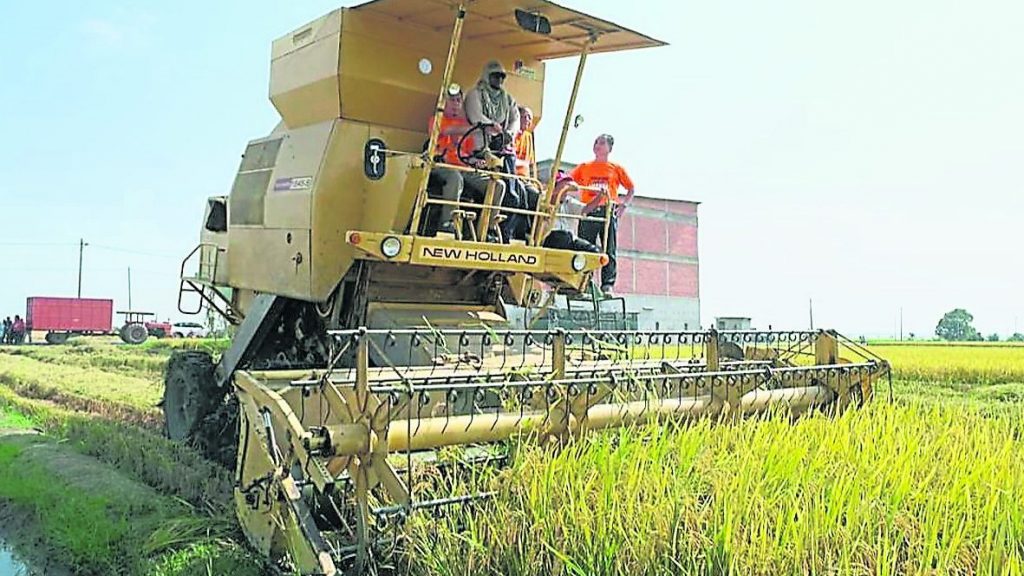 改善适耕庄稻田产量 明年施放白灰 改善供水