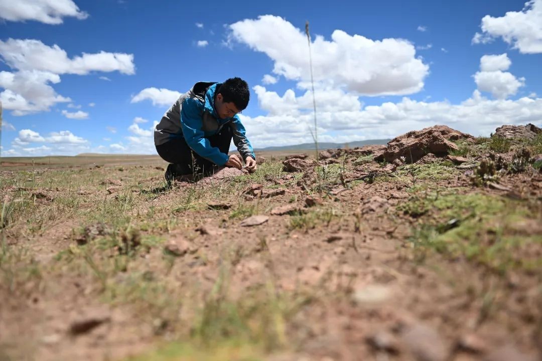 拼盘／中国科考队在青藏高原可可西里发现罕见“红山脉” 