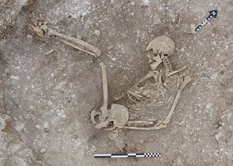 拼盘／挖掘逾2000年前墓穴　发现人类及献祭动物遗骸