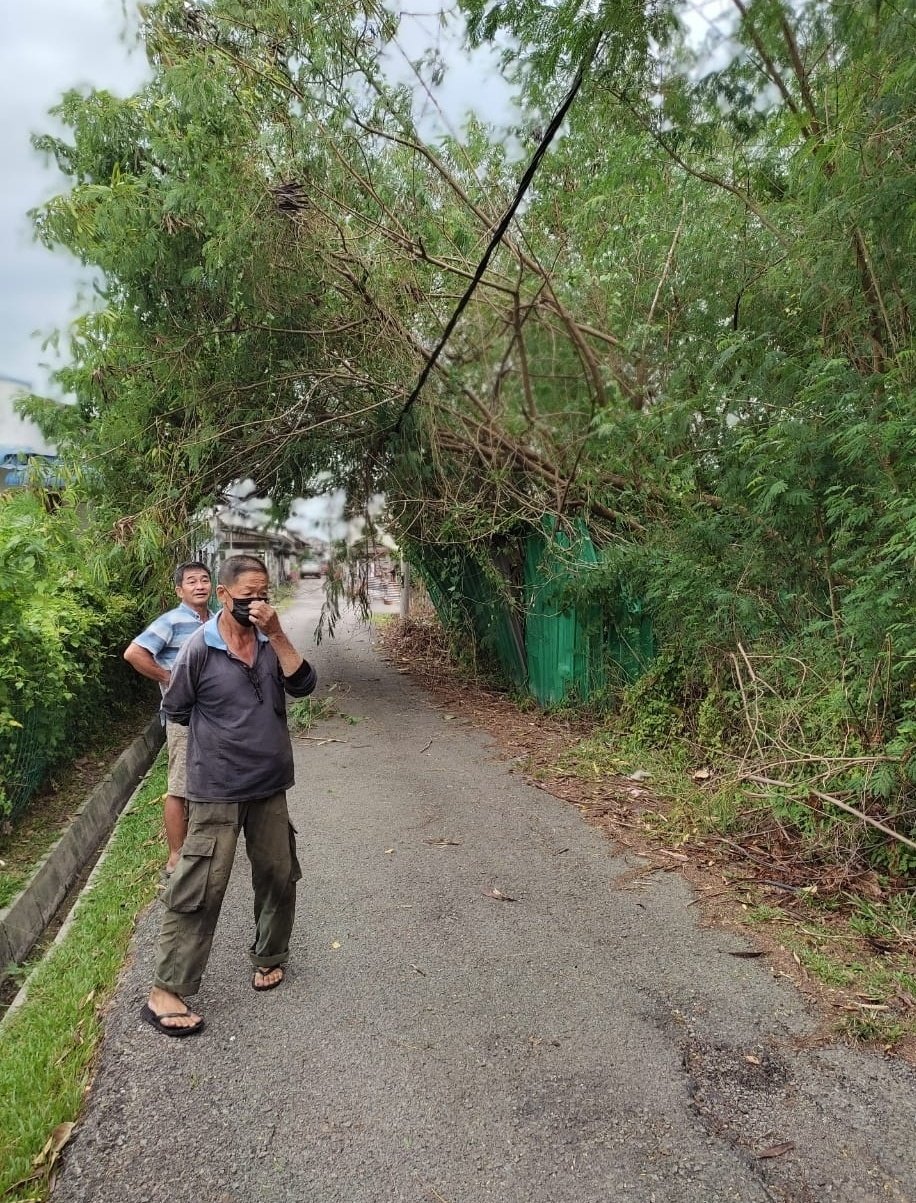 文德甲新村6路 树倒压电缆清理了