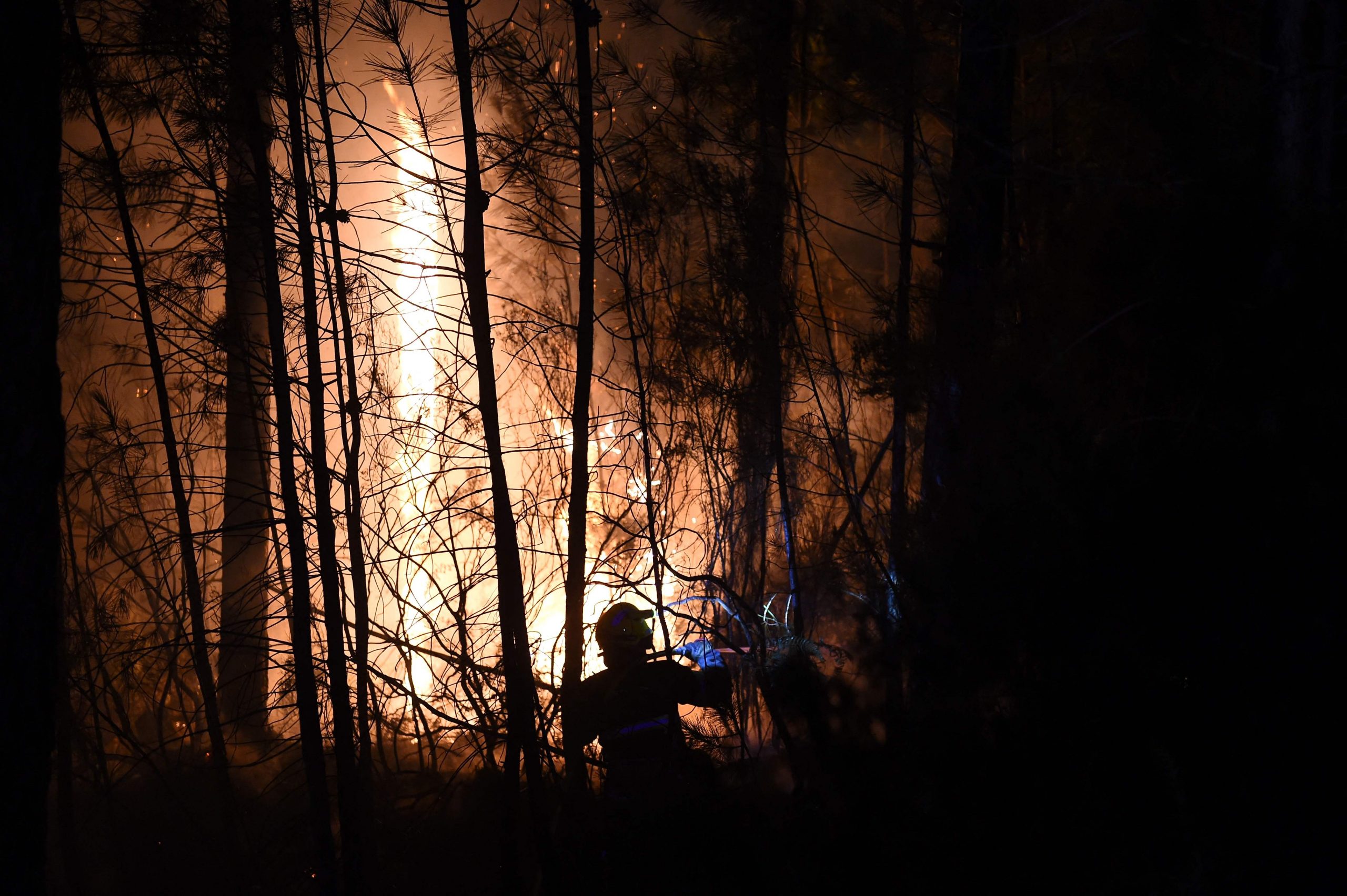 看世界／南法森林大火 出动900名消防员