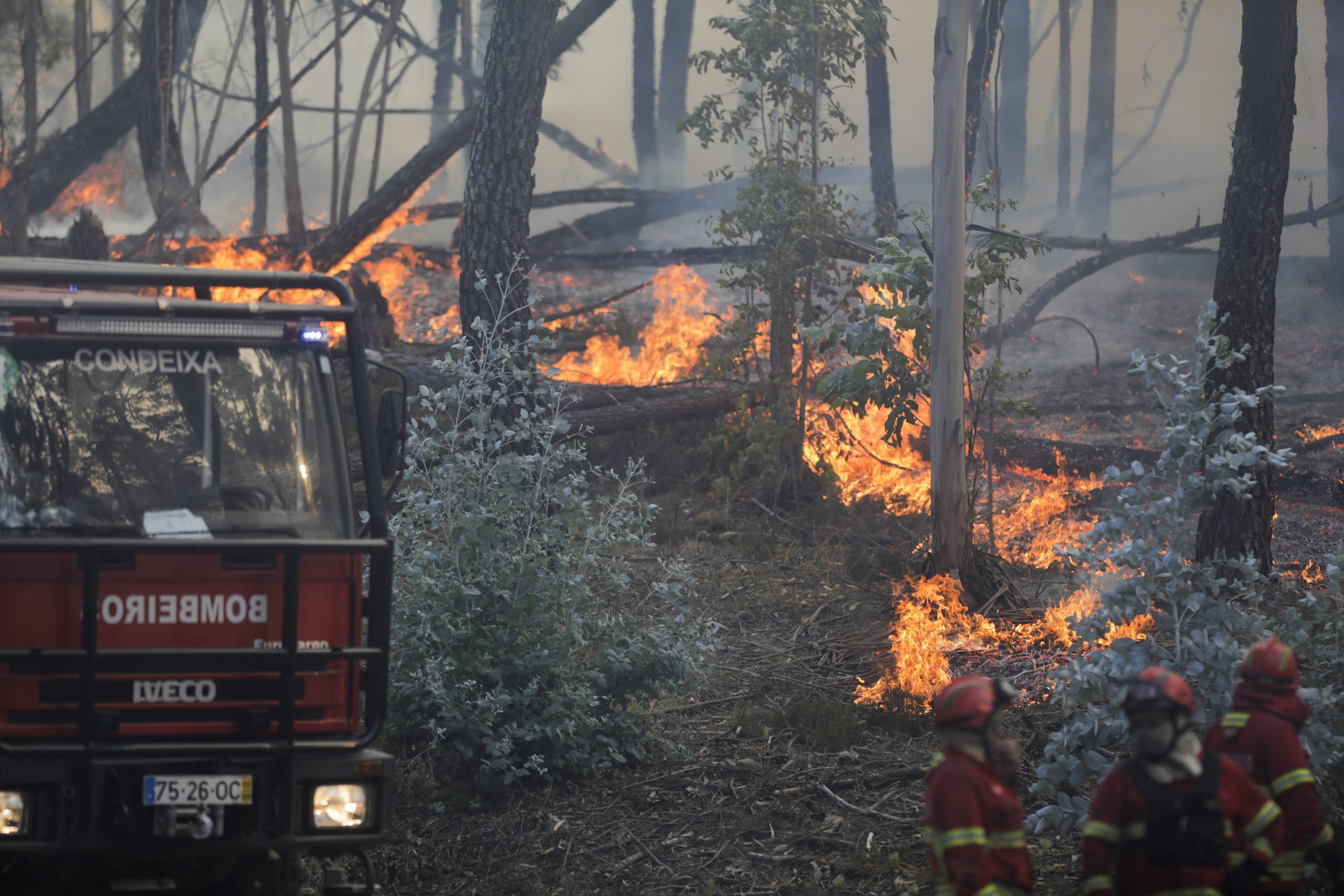 看世界／葡萄牙野火肆虐酿29伤 当局派逾3000消防员灭火