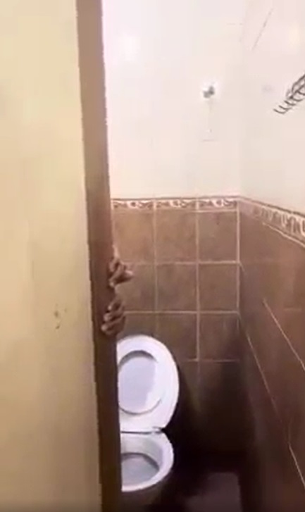 视频 | 男子怀疑自己遭同性偷窥·气得破口大骂狂踢厕所门