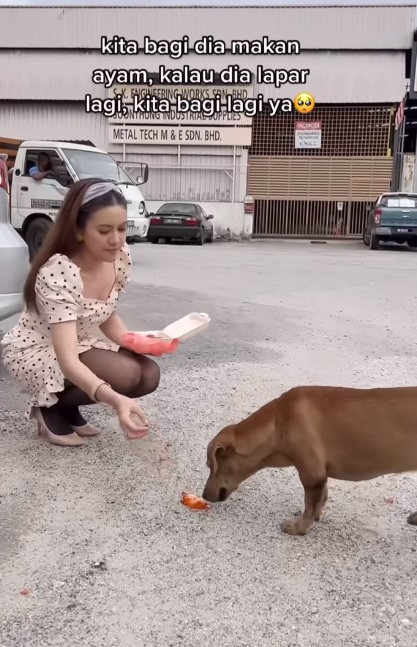 视频|与狗合照被非议 马来女星：“善待动物有什么问题？”