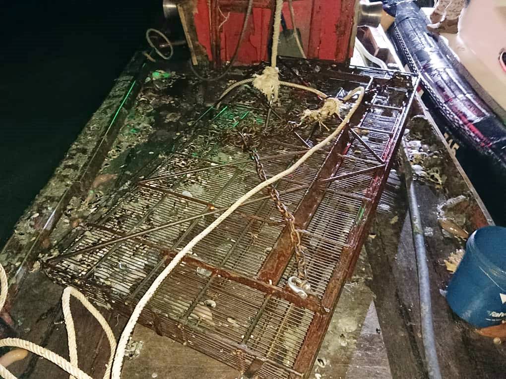 （大北马）玻港口海域禁捕裂痕蛤蜊，3渔夫擅闯违法被捕