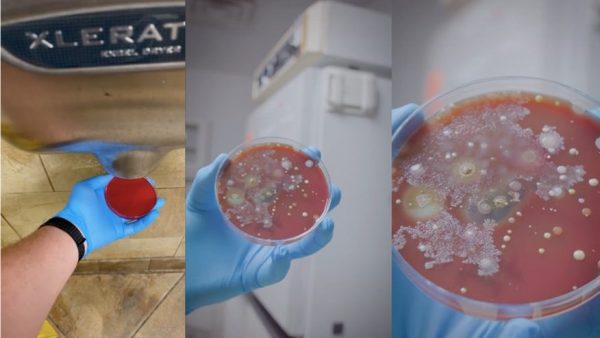 视频 | 用公厕烘手机后布满细菌  美公司实验：潜伏的细菌很惊人