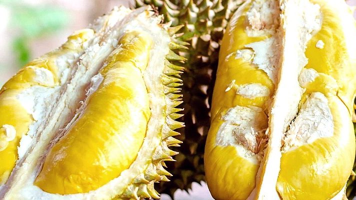 Musang King is not RM168/kg as claimed on social media