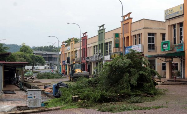 NS芙蓉：沉香蓬莱园商业中心终于砍树了，摆脱鸟粪困扰，商家乐见其成