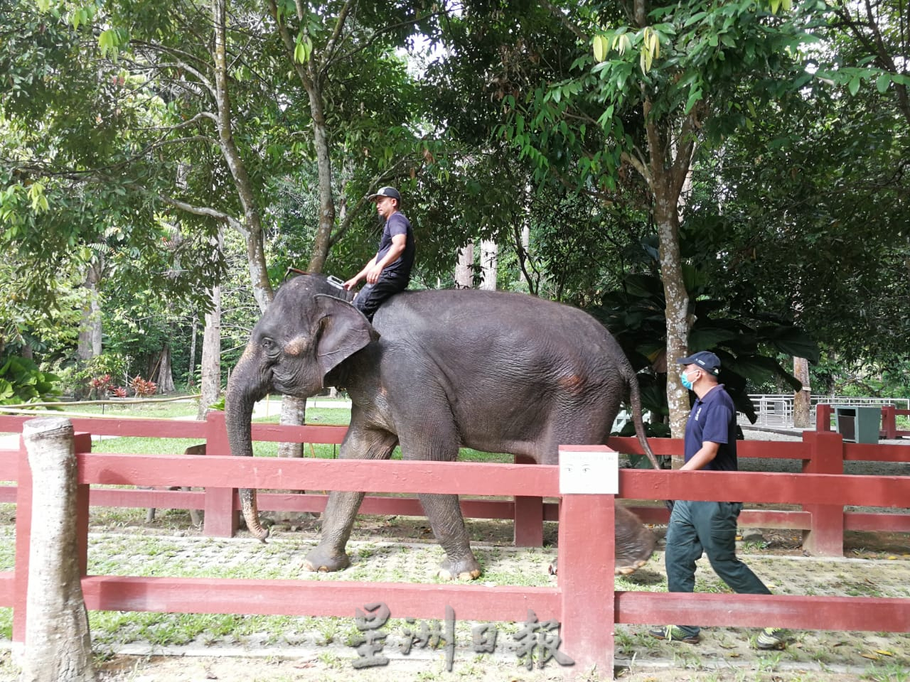 东游记：联增瓜拉甘达大象保育中心