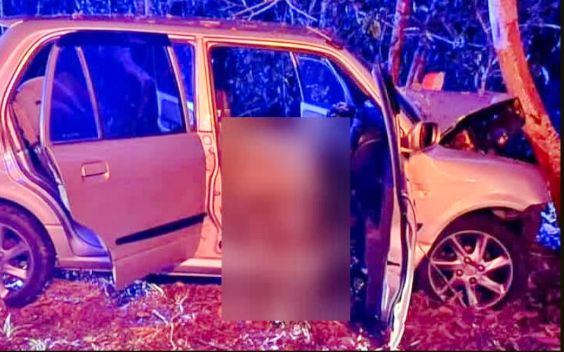 东：轿车失控撞树，司机身受重伤当场死亡。