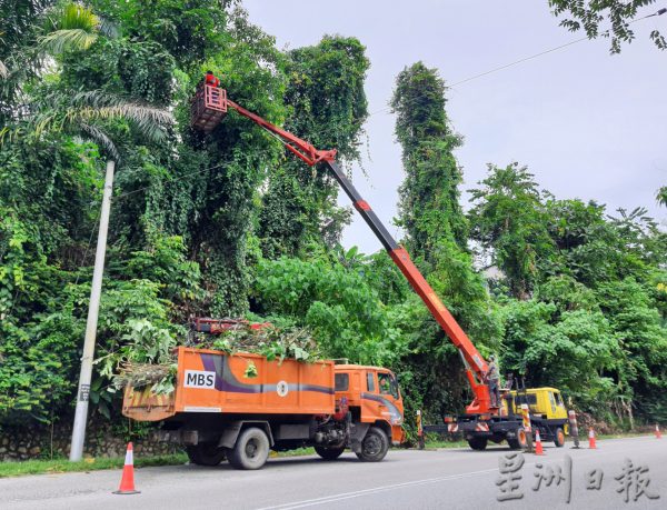 供FB／营救道路安全刻不容缓，国州议员拨款砍树