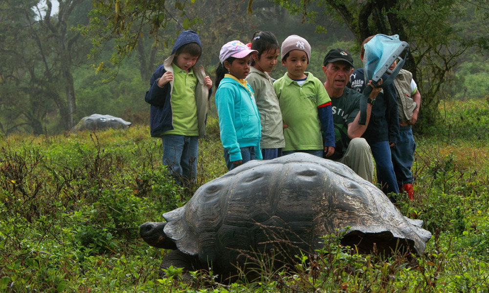 厄瓜多世界遗产群岛4只巨龟遭猎杀 检方展开调查