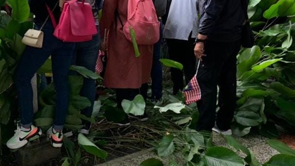 国庆日庆典成“灾难” 路旁植物遭民众踩扁