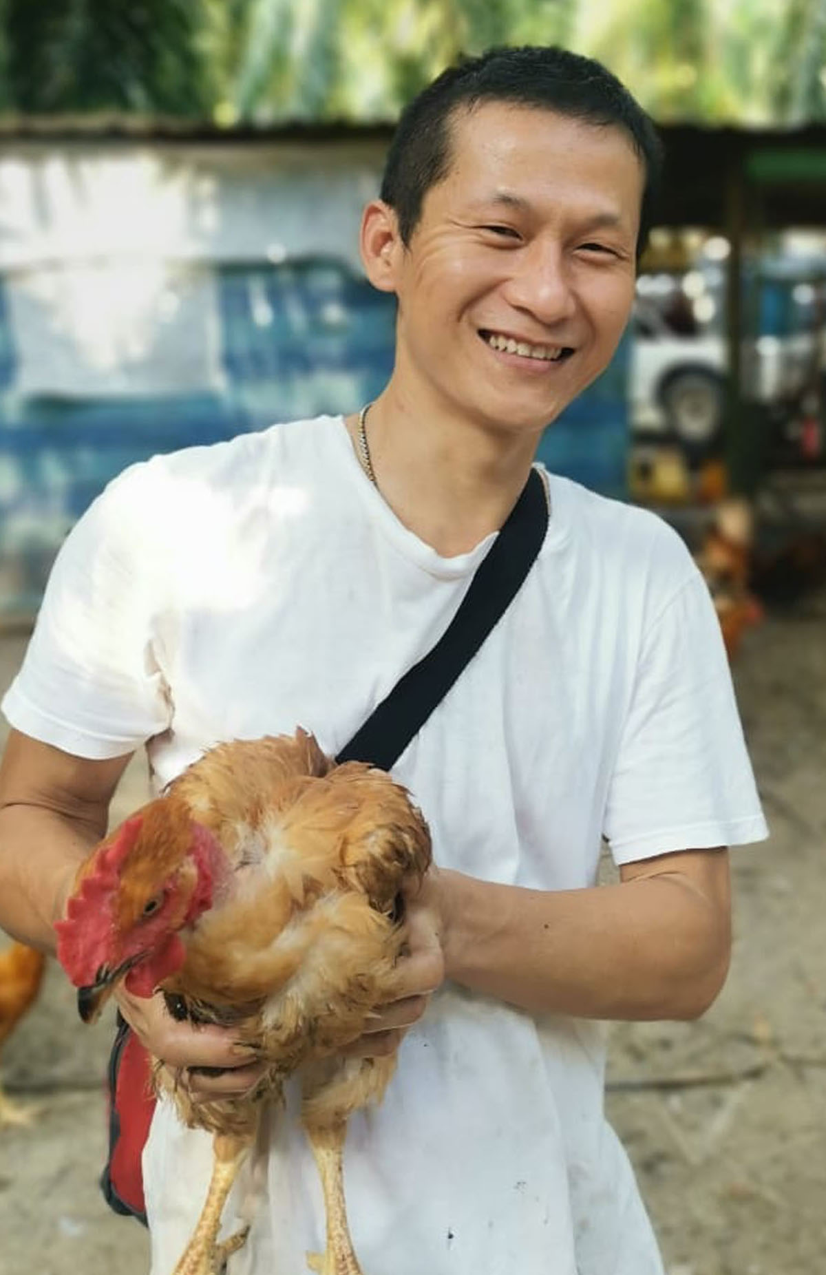 大霹雳时事焦点／陈伟鹏：难养短暂减少 肉鸡供应稳定