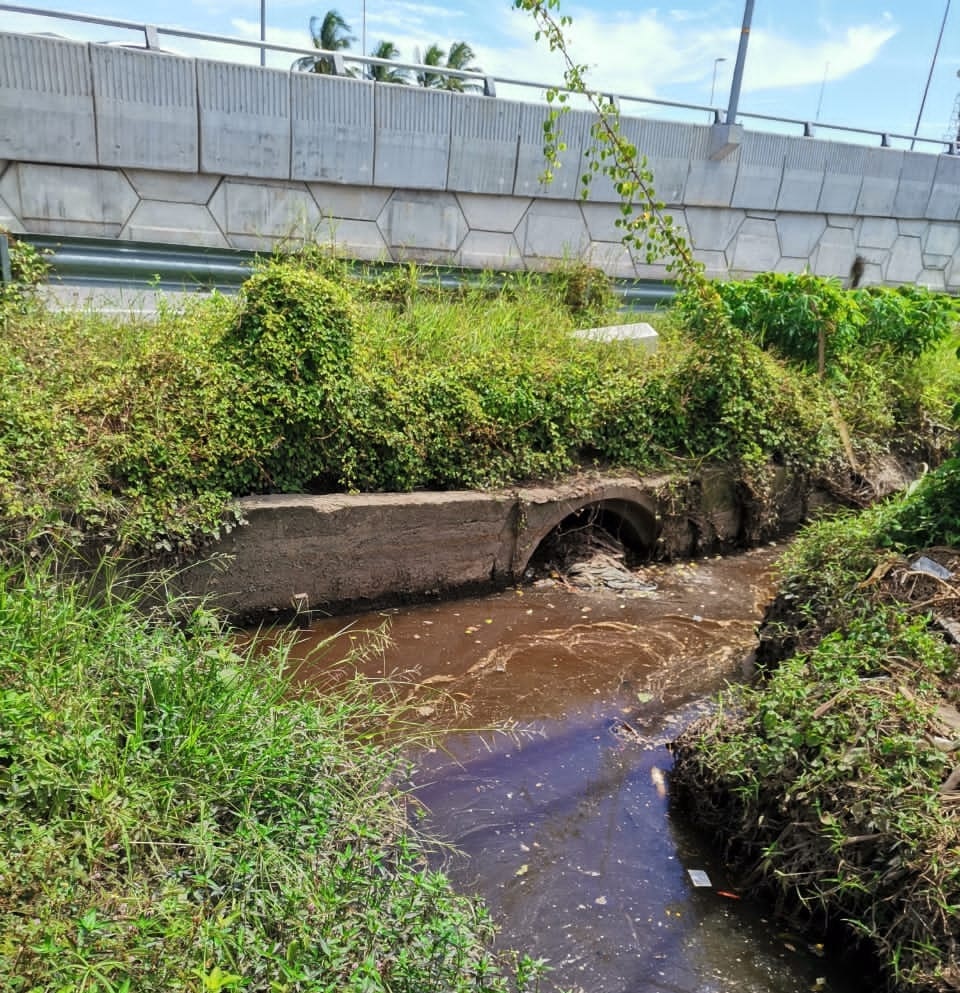 工程疑留手尾削弱排水能力 西岸大道埋水灾隐患