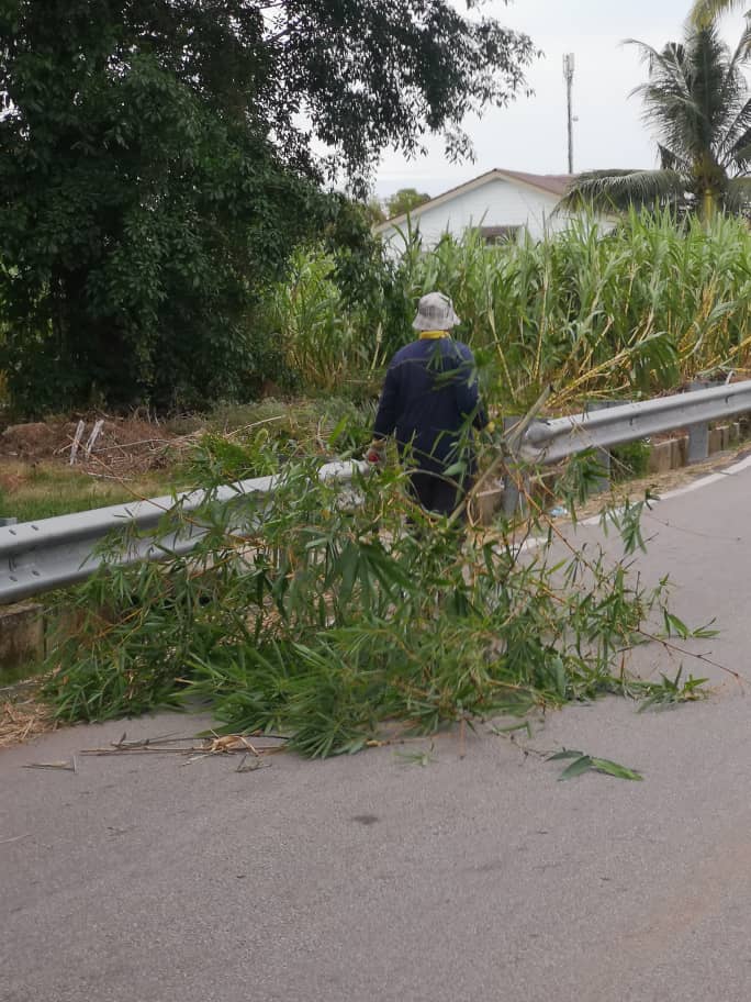柔：民生特工队：住宅区旁竹子丛生，刮风下雨时折断