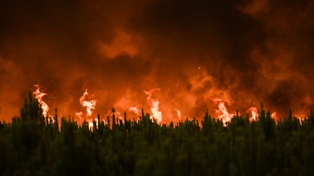 法国西南部林火续烧 官员警告会进一步蔓延
