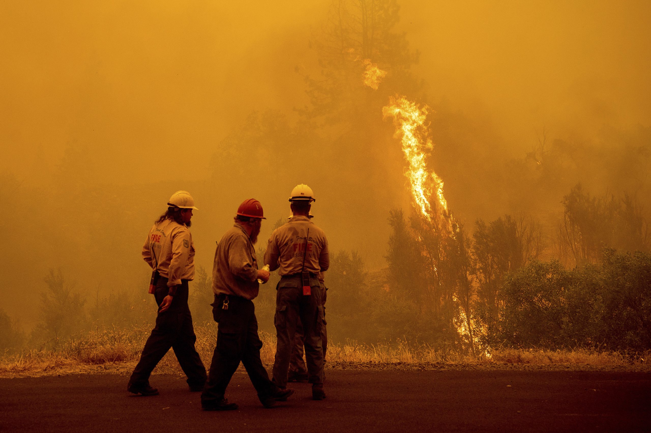 美国加州今年最大山火已致2000名居民被迫撤离