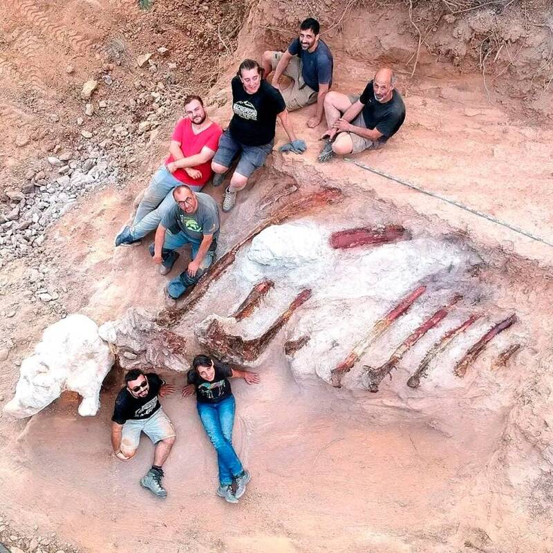 葡萄牙民宅后花园 传挖出欧洲历来最大的恐龙化石