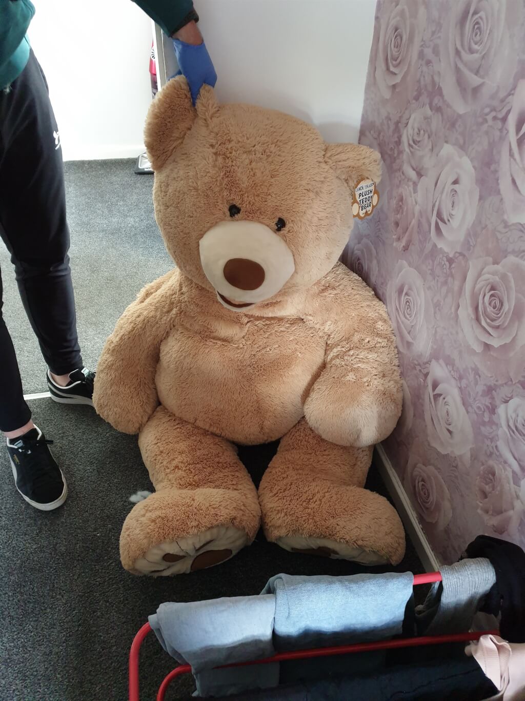 警察追捕偷车贼 发现泰迪熊玩偶竟会呼吸