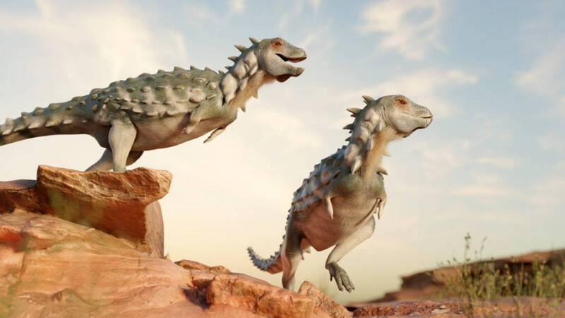 阿根廷出土全新物种甲龙   “冕岩持盾龙”可两足行走