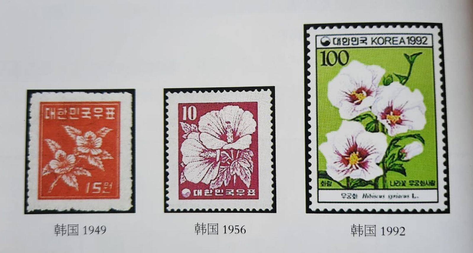 （古城封面主文）国庆来认识邮票上的国花