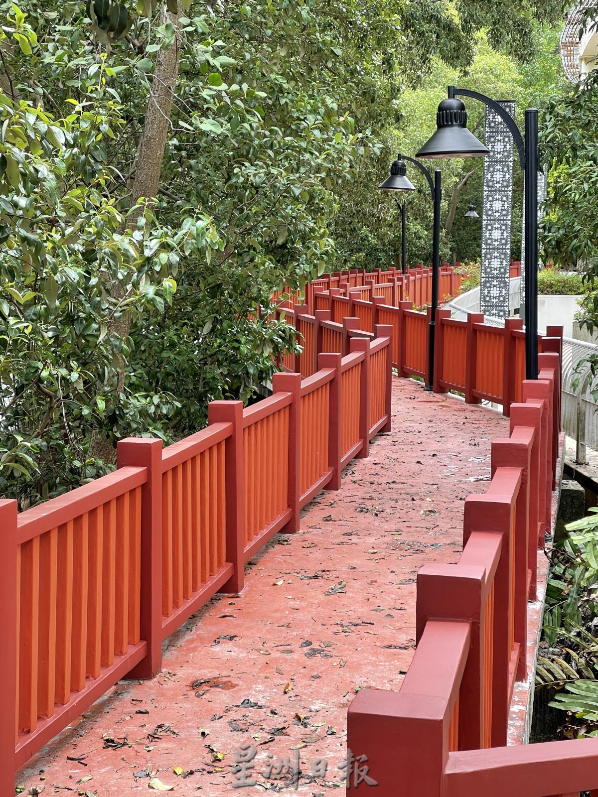 （古城第二版主文）红树林木桥维修部分“终于”刷上红漆