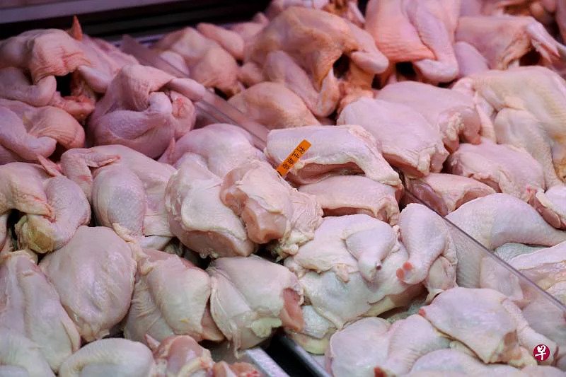 印尼冷冻鸡供不应求 狮城鸡饭摊“断货”生意大跌 