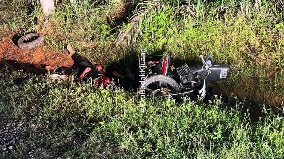 骑摩托车与大象相撞  少年伤重送新山救治