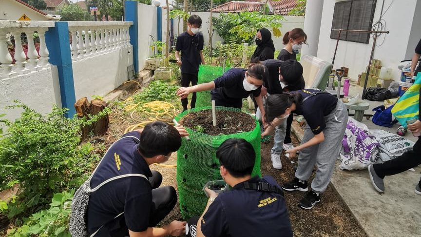 大学生为安老院 建可持续高塔花园
