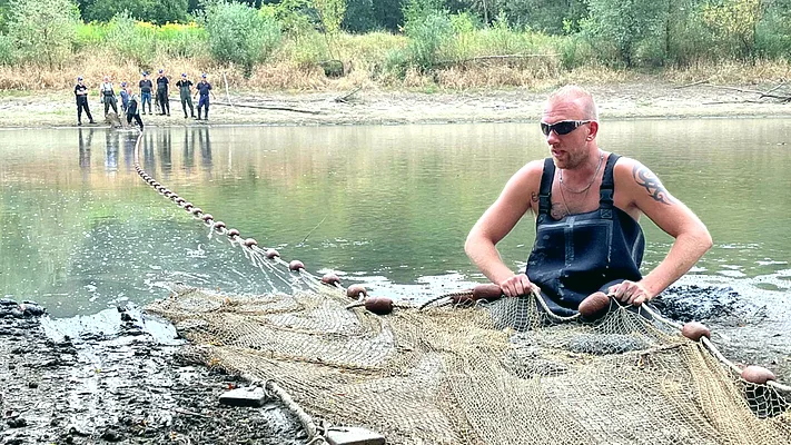 Dutch anglers save fish as Rhine drought bites