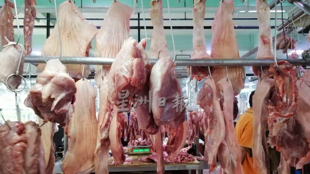 陈政熙：南砂爆发猪瘟． 影响本地猪肉供应