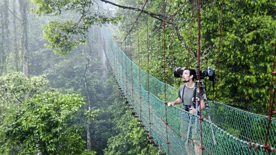 从生物学家到摄影师 李乾乾用镜头发掘雨林美