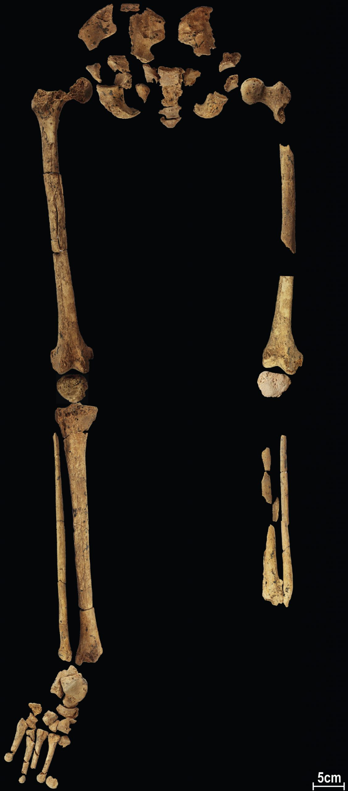 3万年前人骨神秘缺腿 研究曝惊人真相