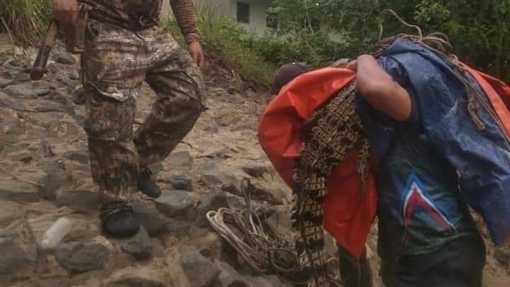 危及沿岸居民安全 野生动物局击毙幼鳄