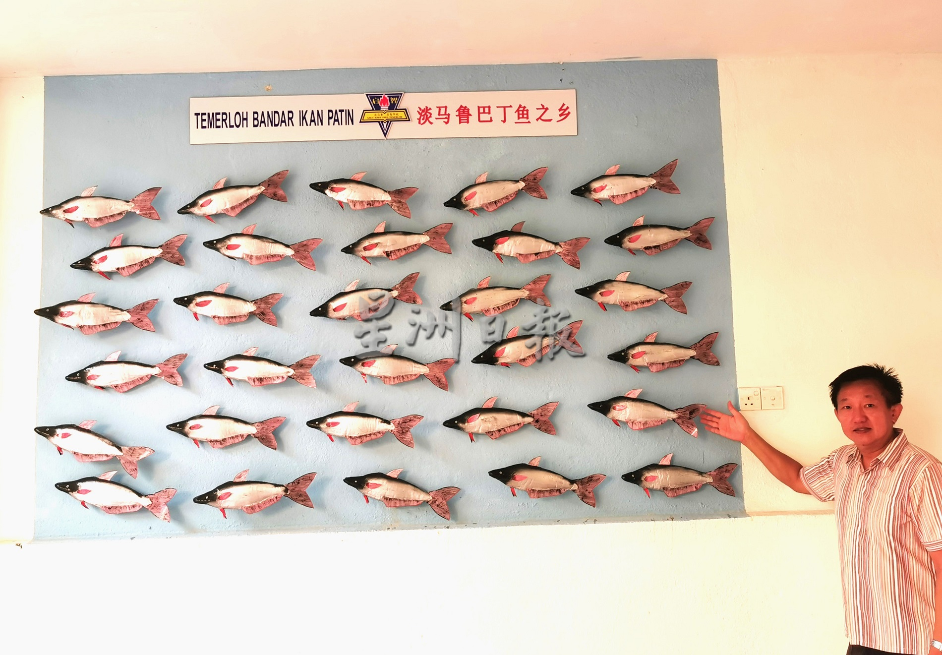 淡马鲁启智华小设立“巴丁鱼”模型角落，以让学生们更加了解淡马鲁为“巴丁鱼”之乡历史。