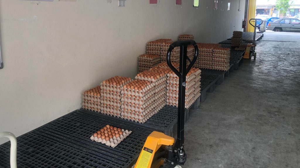 鸡蛋农场减产，市场供应严重短缺，商家称“有钱也买不到”，民众唯有转购菜园蛋、日本珍珠蛋或Omega蛋等，导致这类鸡蛋也涨价。