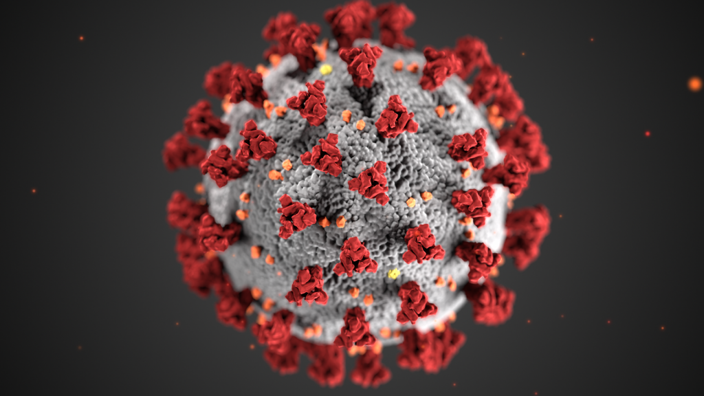 HR2冠病克星！ “死亡拥抱”阻病毒感染人类细胞